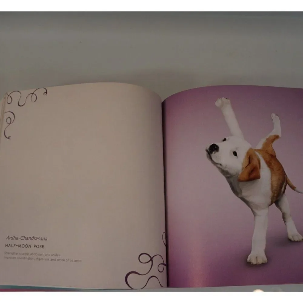 Yoga Dogs By Dan Borris 2011 Paper Back Dog Photography